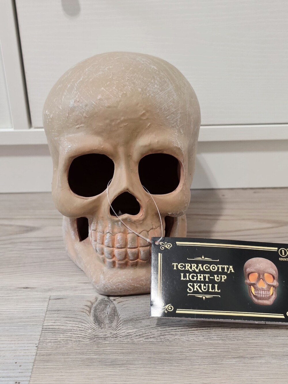 Target Bullseye Playground Halloween 2026 Terracotta Light Up Skull